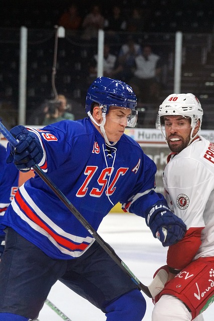 被评选为 被评选为